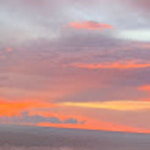 Meet your Posher, Kira